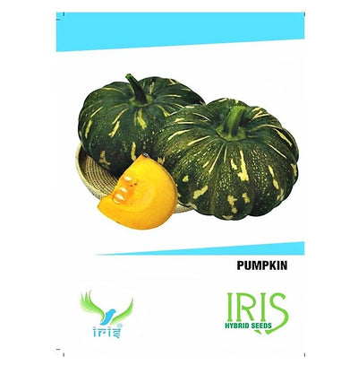 IRIS HYBRID PUMPKIN SEEDS