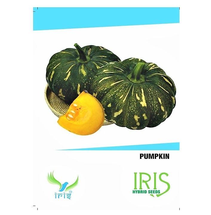 IRIS HYBRID PUMPKIN SEEDS