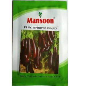 MANSOON BRINJAL CHHAYA IMPROVED SEEDS