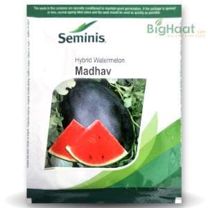 MADHAV WATERMELON