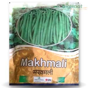 MAKHMALI BEANS