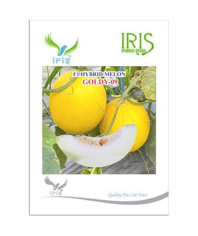 IRIS HYBRID FRUIT SEEDS MUSK MELON GOLDY-09