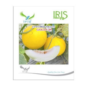 IRIS HYBRID FRUIT SEEDS MUSK MELON GOLDY-09