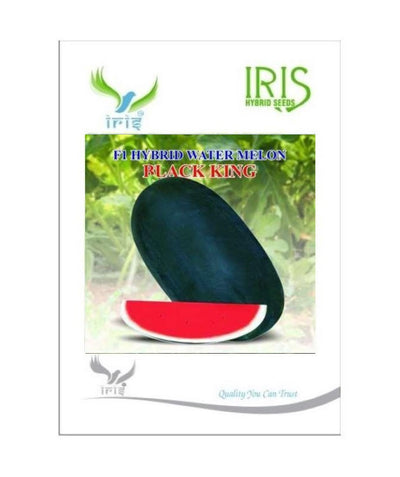 IRIS HYBRID FRUIT SEEDS WATERMELON BLACK KING SEEDS