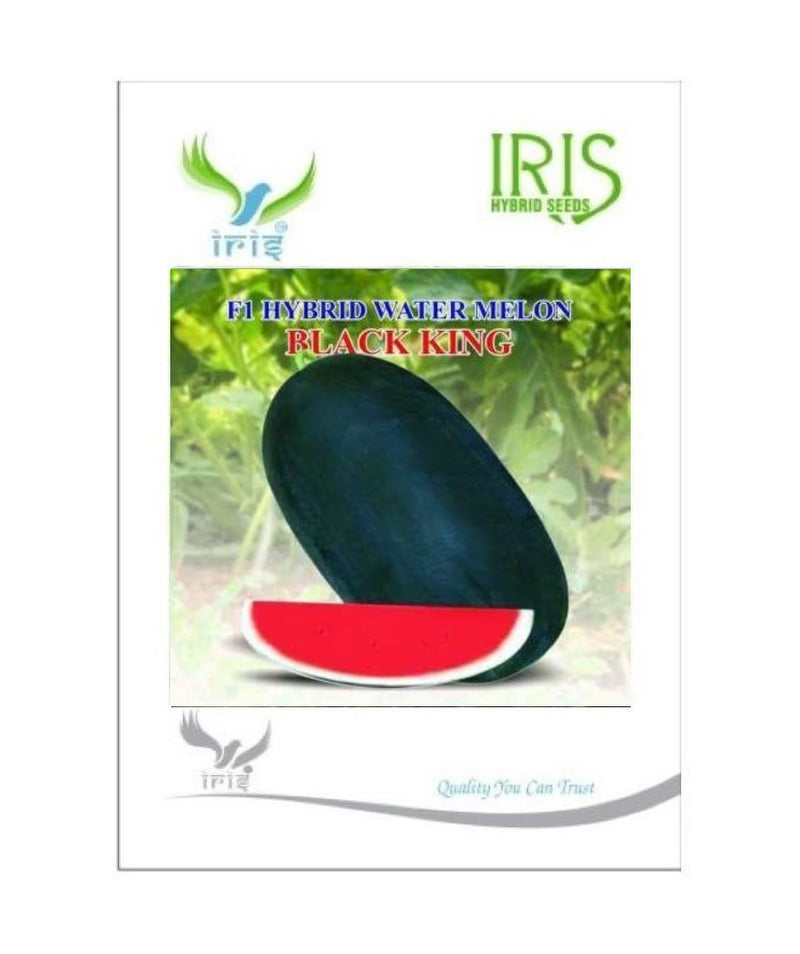 IRIS HYBRID FRUIT SEEDS WATERMELON BLACK KING SEEDS