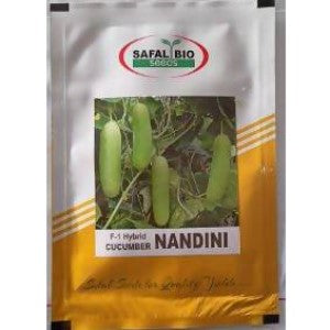 NANDINI CUCUMBER SEEDS