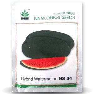 NS 34 WATERMELON SEEDS