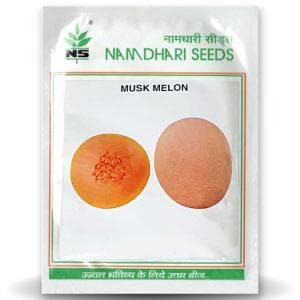 NS 7455 F1 MUSKMELON