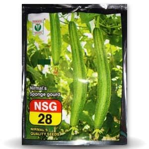 NSG-28 SPONGE GOURD