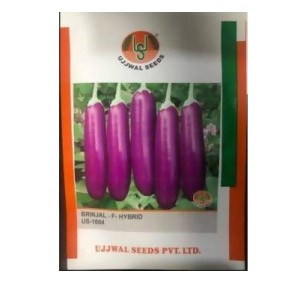 UJJWAL BRINJAL US 1004 F1 SEEDS