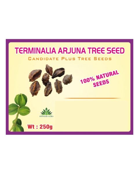 TERMINALIA ARJUNA TREE SEEDS