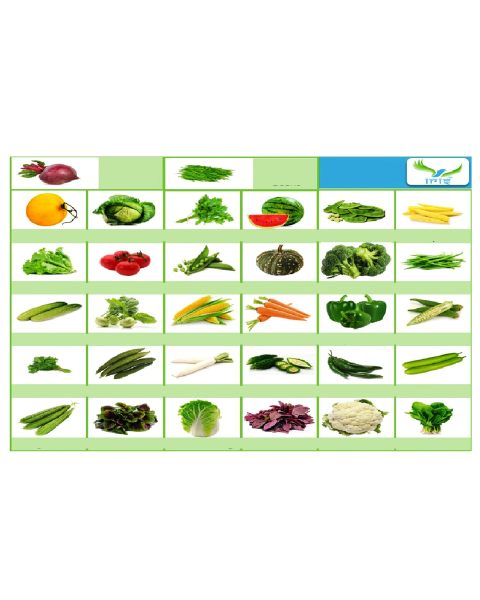 PACK OF 32 VARIETY OF VEGETABLES, FRUITS AND HERBS SEEDS FOR KITCHEN GARDEN