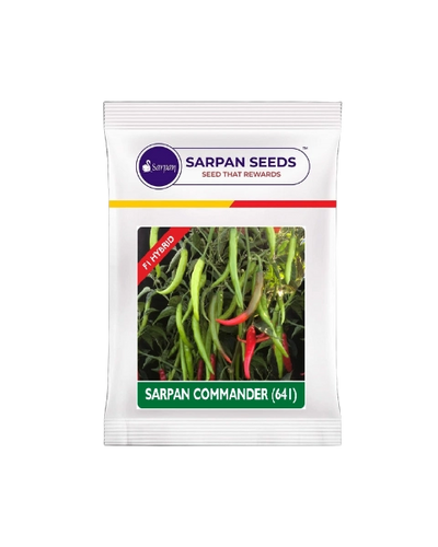 SARPAN COMMANDER CHILLI SEEDS