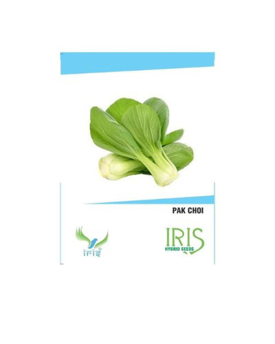 IRIS HYBRID VEGETABLE SEEDS PAK CHOI