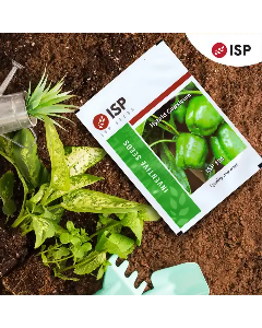 ISP154 CAPSICUM