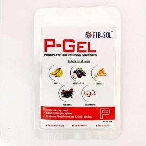 FIB SOL P-GEL – BIOACTIVE: PHOSPHATE SOLUBLIZING BACTERIA