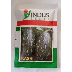 KASHI PUMPKIN SEEDS