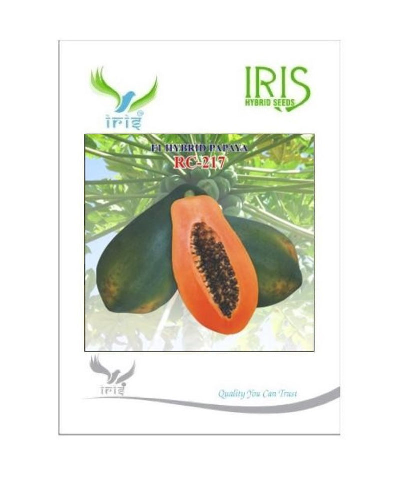 IRIS HYBRID FRUIT SEEDS PAPAYA RC-217