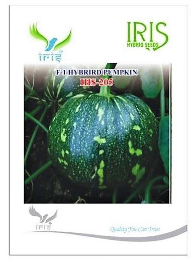 IRIS HYBRID VEGETABLE SEEDS F1 HYBRID PUMPKIN IHS-205