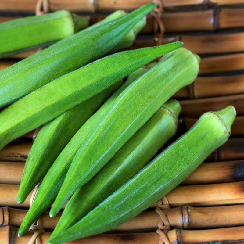 IRIS HYBRID OKRA SEEDS