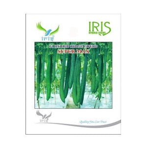 IRIS SUPER MAX RIDGE GOURD SEEDS