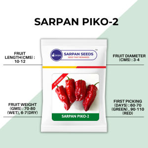 SARPAN PIKO-2 SEEDS