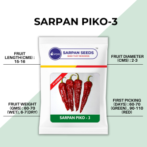 SARPAN PIKO-3 SEEDS