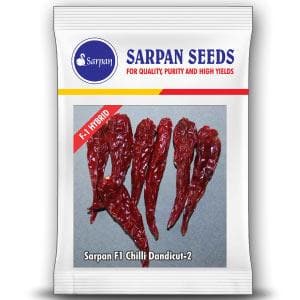 SARPAN DANDICUT-2 CHILLI SEEDS