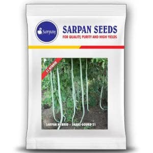 SARPAN HYBRID SNAKE GOURD-21