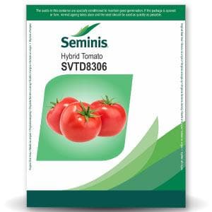 SVTD8306 TOMATO SEEDS