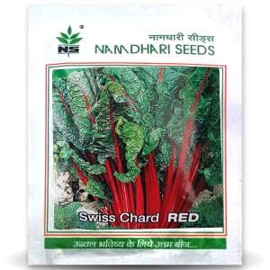 SWISS CHARD RED