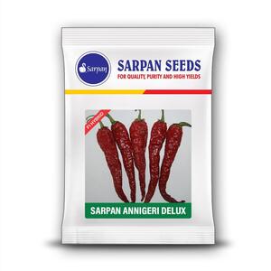 SARPAN F1 – ANNIGERI DELUX CHILLI