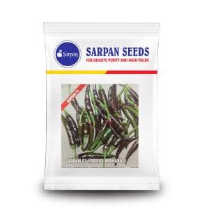 SARPAN HYBRID MAHAKALI CHILLI SEEDS