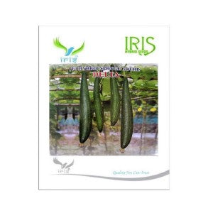 IRIS HYBRID SPONGE GOURD DELTA SEEDS F1