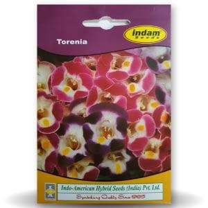 TORENIA