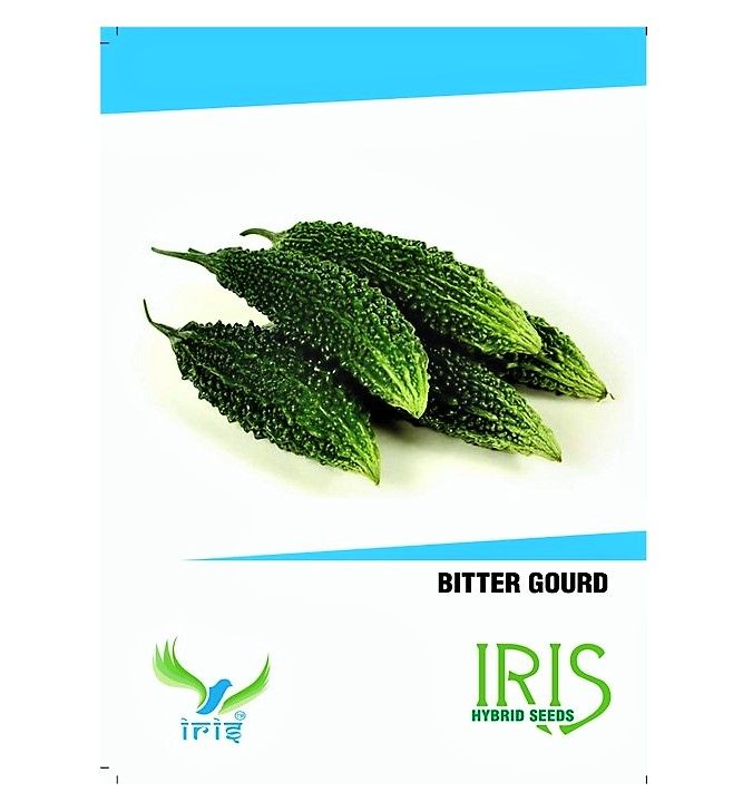 IRIS HYBRID VEGETABLE BITTER GOURD SEEDS