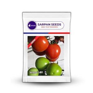 SARPAN TOMATO-801 SEEDS