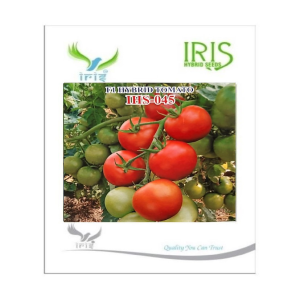 IRIS HYBRID VEGETABLE SEEDS F1 HYBRID TOMATO IHS-045