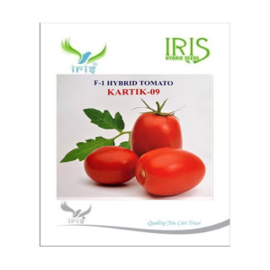 IRIS HYBRID VEGETABLE SEEDS F1 HYBRID TOMATO KARTIK 09