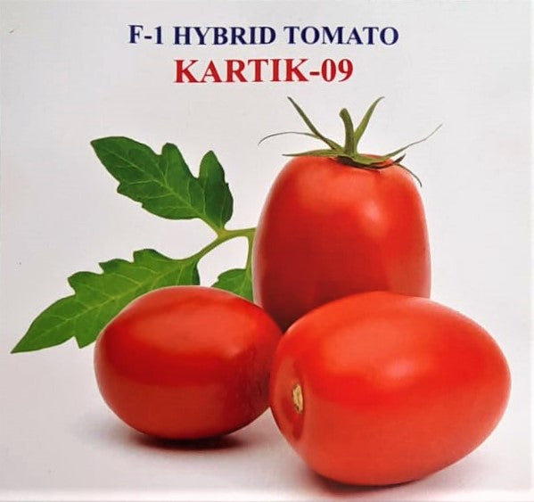 IRIS HYBRID VEGETABLE SEEDS F1 HYBRID TOMATO KARTIK 09