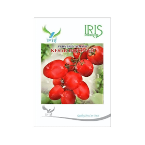 IRIS HYBRID VEGETABLE SEEDS F1 HYBRID TOMATO KESAR IMPROVED