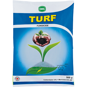 TURF FUNGICIDE