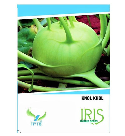 IRIS KNOL KHOL SEEDS