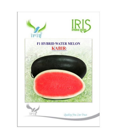 IRIS HYBRID WATERMELON FRUIT SEEDS KABIR - ICE BOX SEGMENT