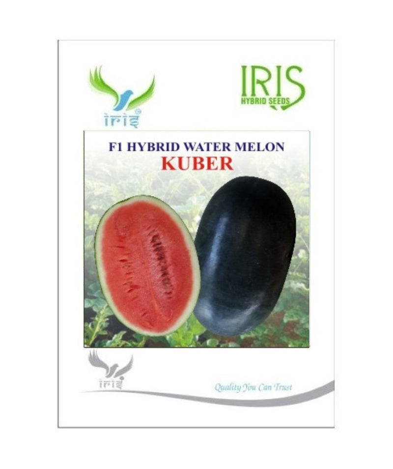 IRIS HYBRID FRUIT SEEDS WATERMELON KUBER - SUGAR BABY TYPE SEEDS