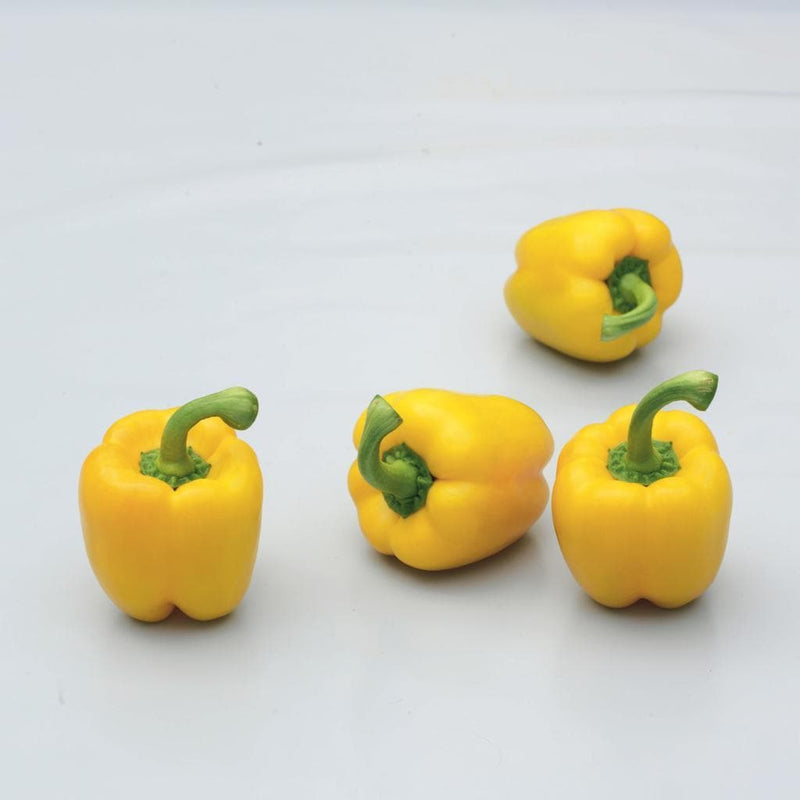 LUMOS CAPSICUM SEEDS