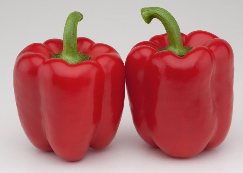 CELIN CAPSICUM