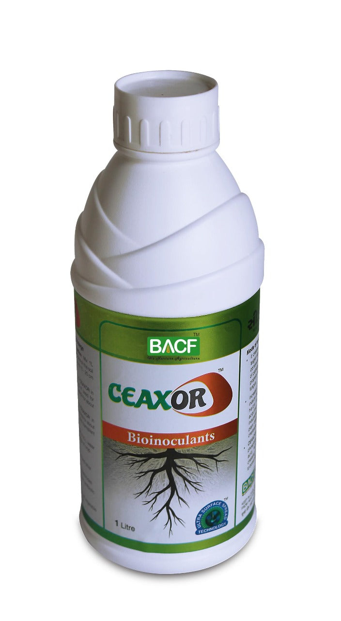 BACF CEAXOR