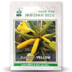 NS 9823 ZUCCHINI - LONG YELLOW