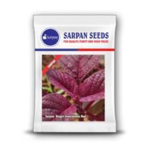 SARPAN RAJGIRI AMARANTHUS RED